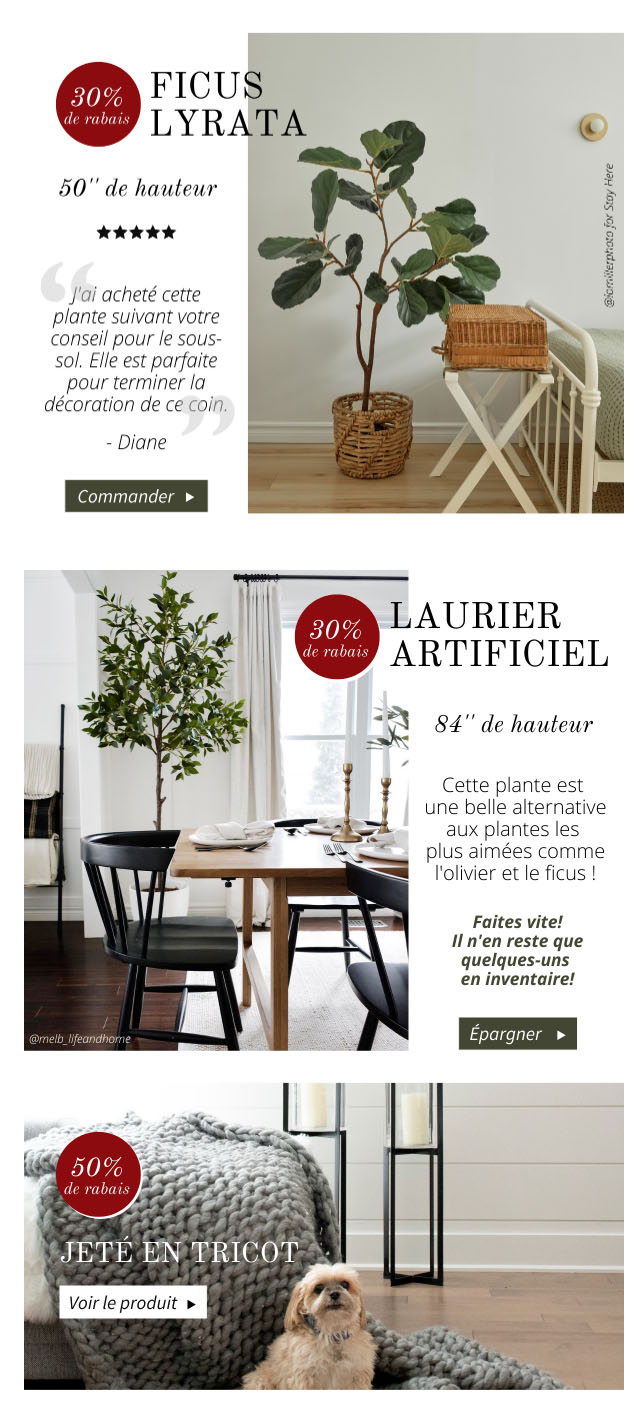 Épargnez 25 à 50% sur ces Plantes Tendance!