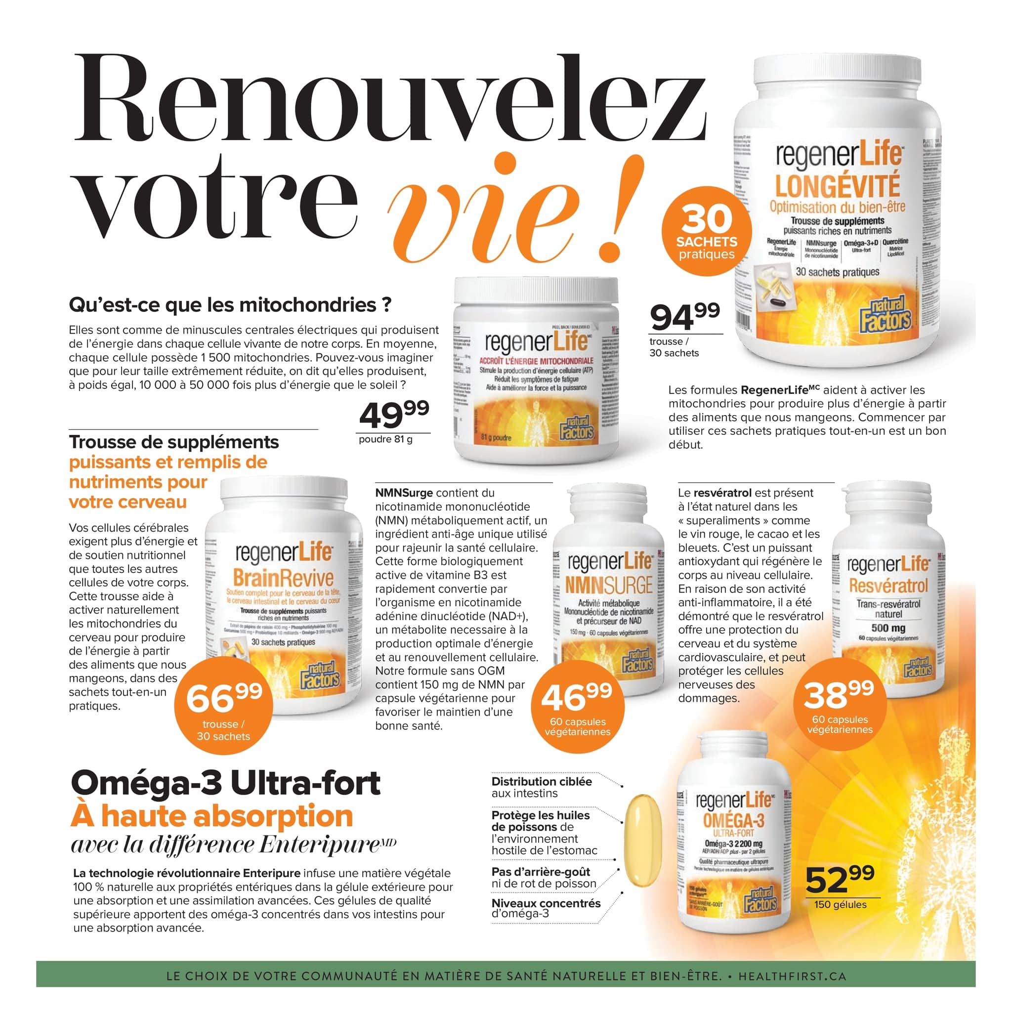 Circulaire Le Chrysanthème - Page 7