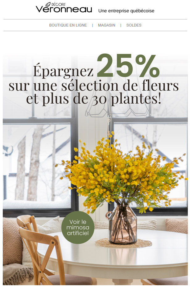 Épargnez 25%!