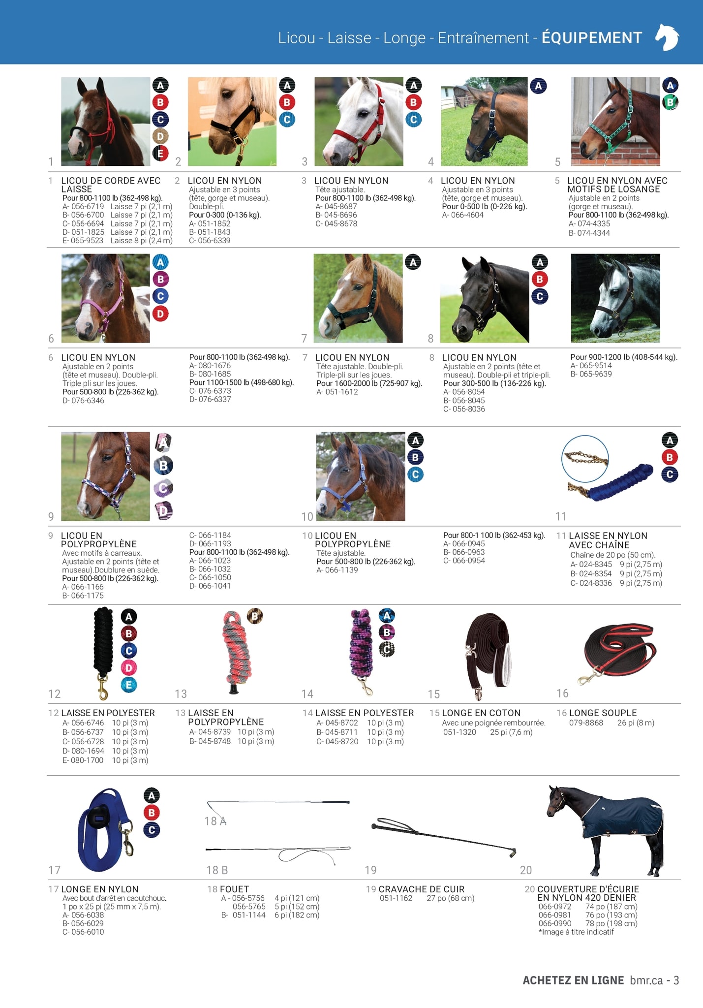 Circulaire BMR - Guide Équestre 2023 - Page 3