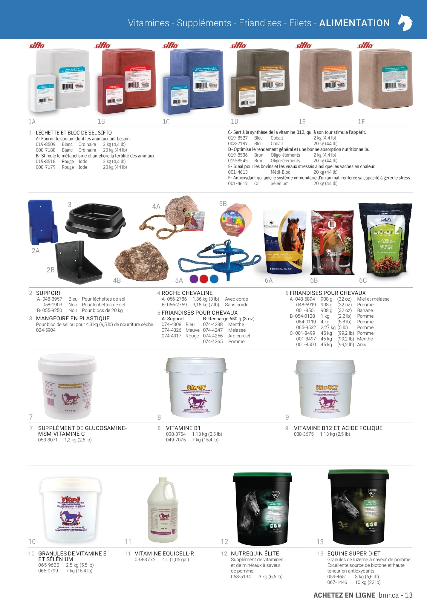 Circulaire BMR - Guide Équestre 2023 - Page 13