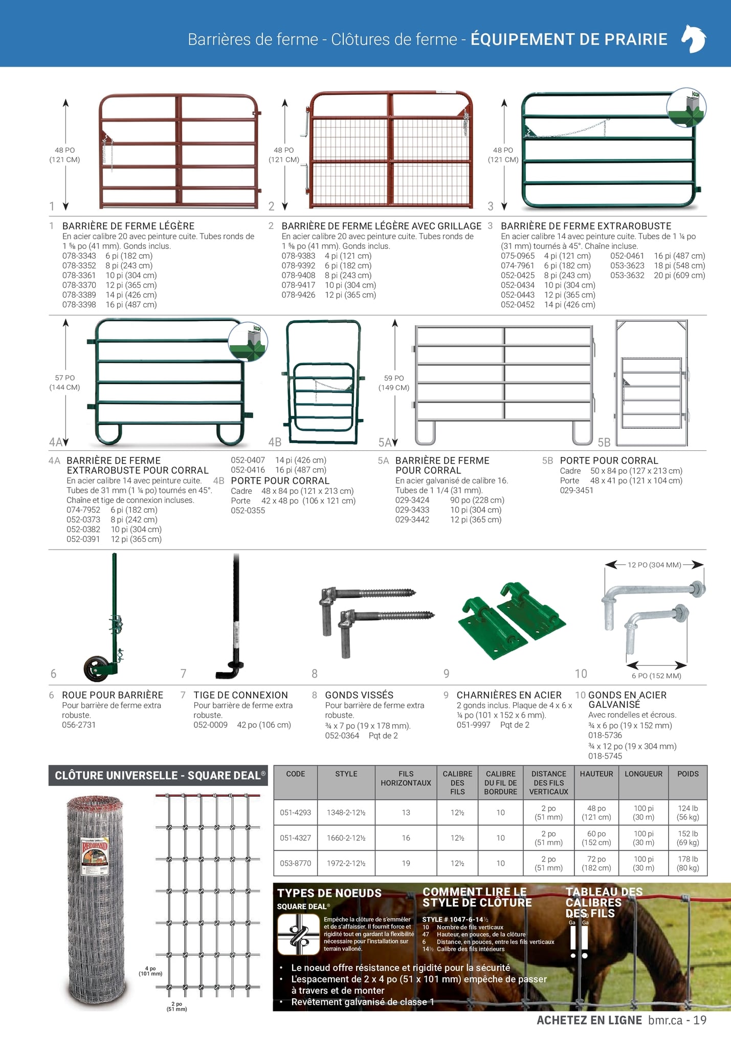 Circulaire BMR - Guide Équestre 2023 - Page 19