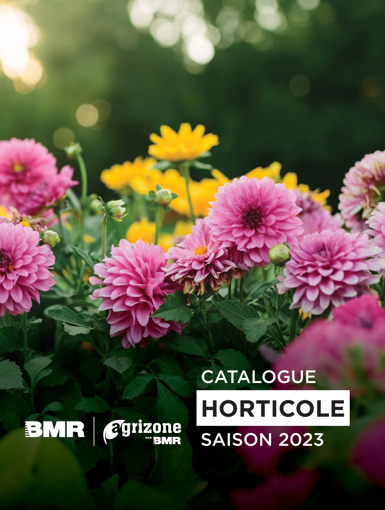 Circulaire BMR - Catalogue Horticole - Page 1