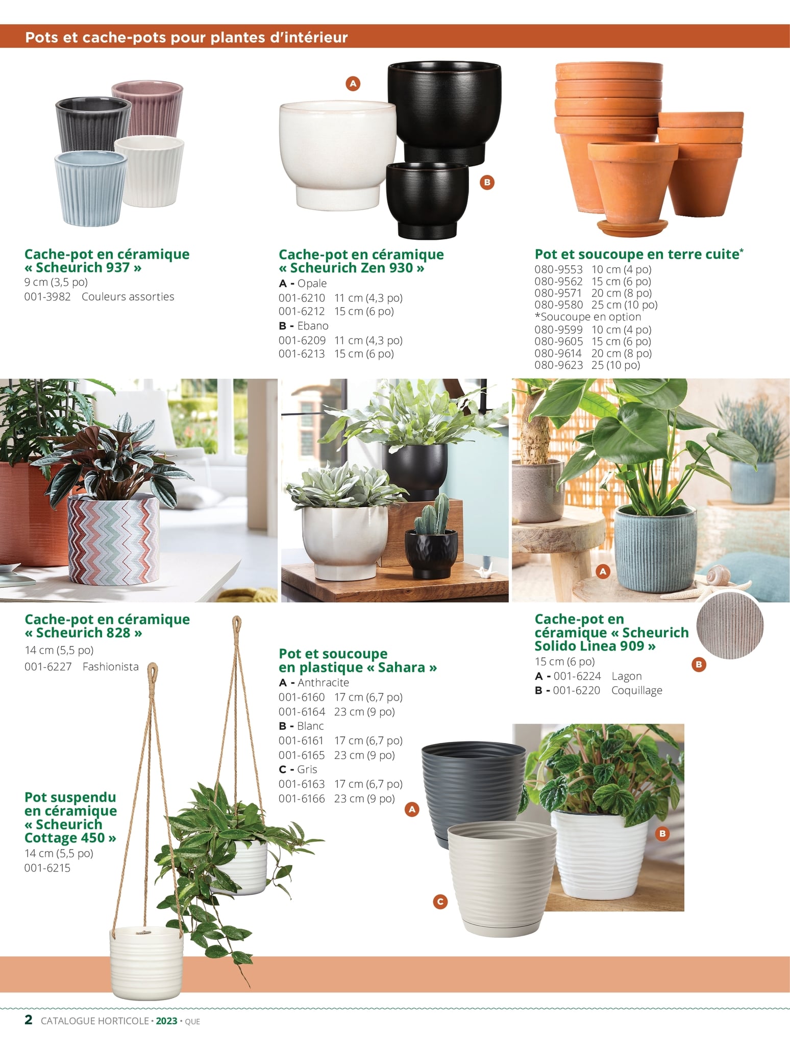 Circulaire BMR - Catalogue Horticole - Page 2