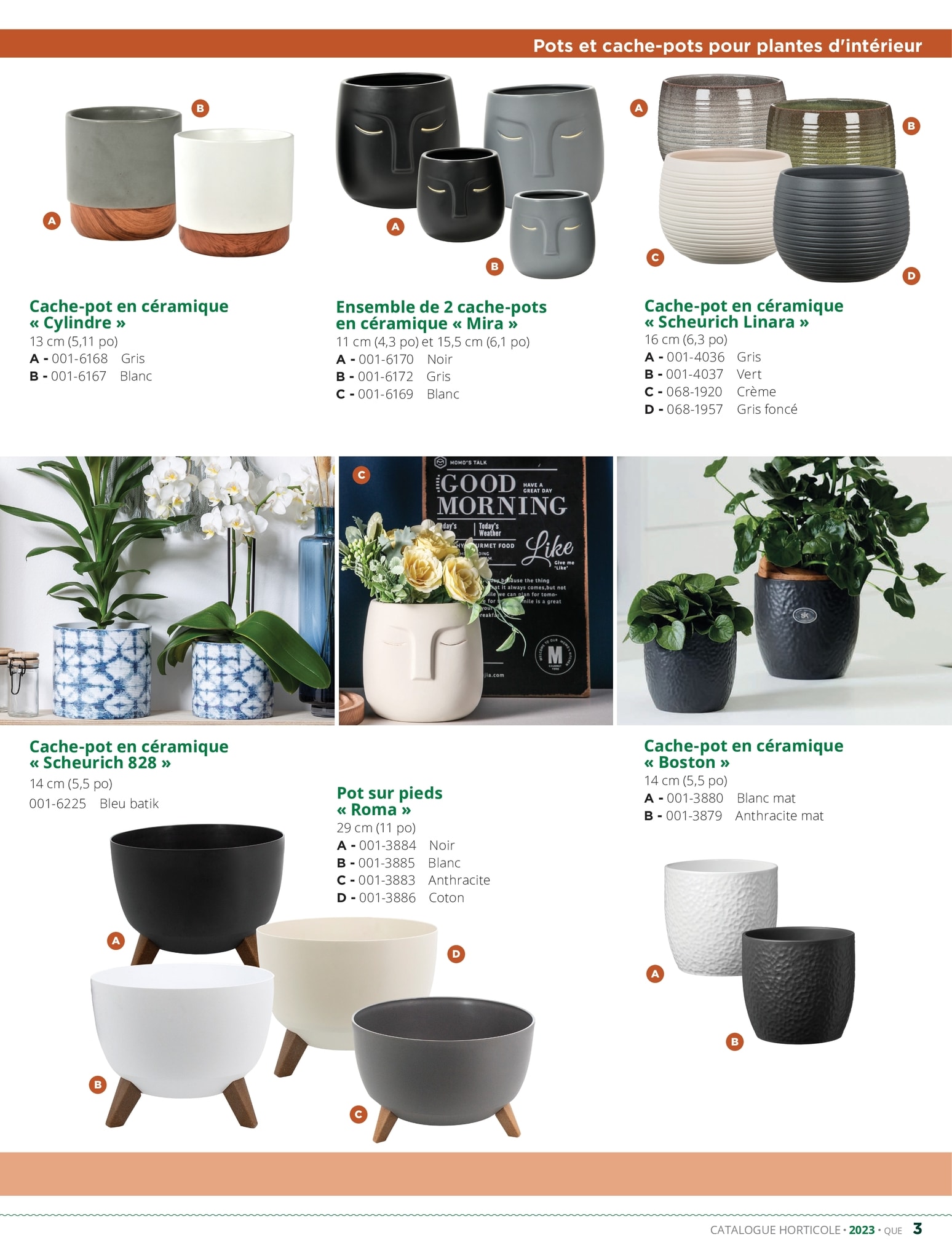 Circulaire BMR - Catalogue Horticole - Page 3
