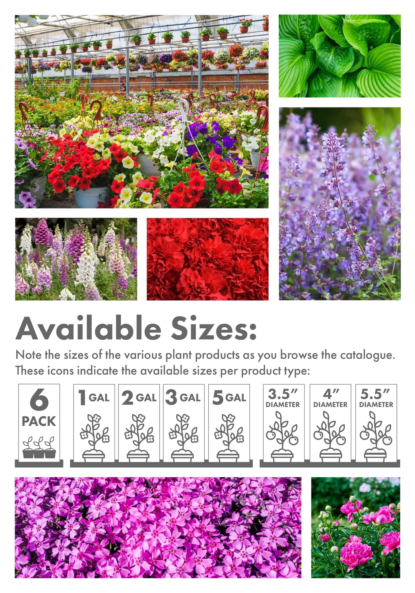 Circulaire Kent - Centre Garden Magazine - Page 3