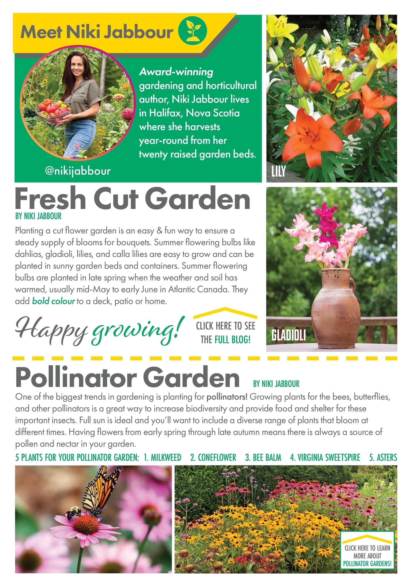 Circulaire Kent - Centre Garden Magazine - Page 4