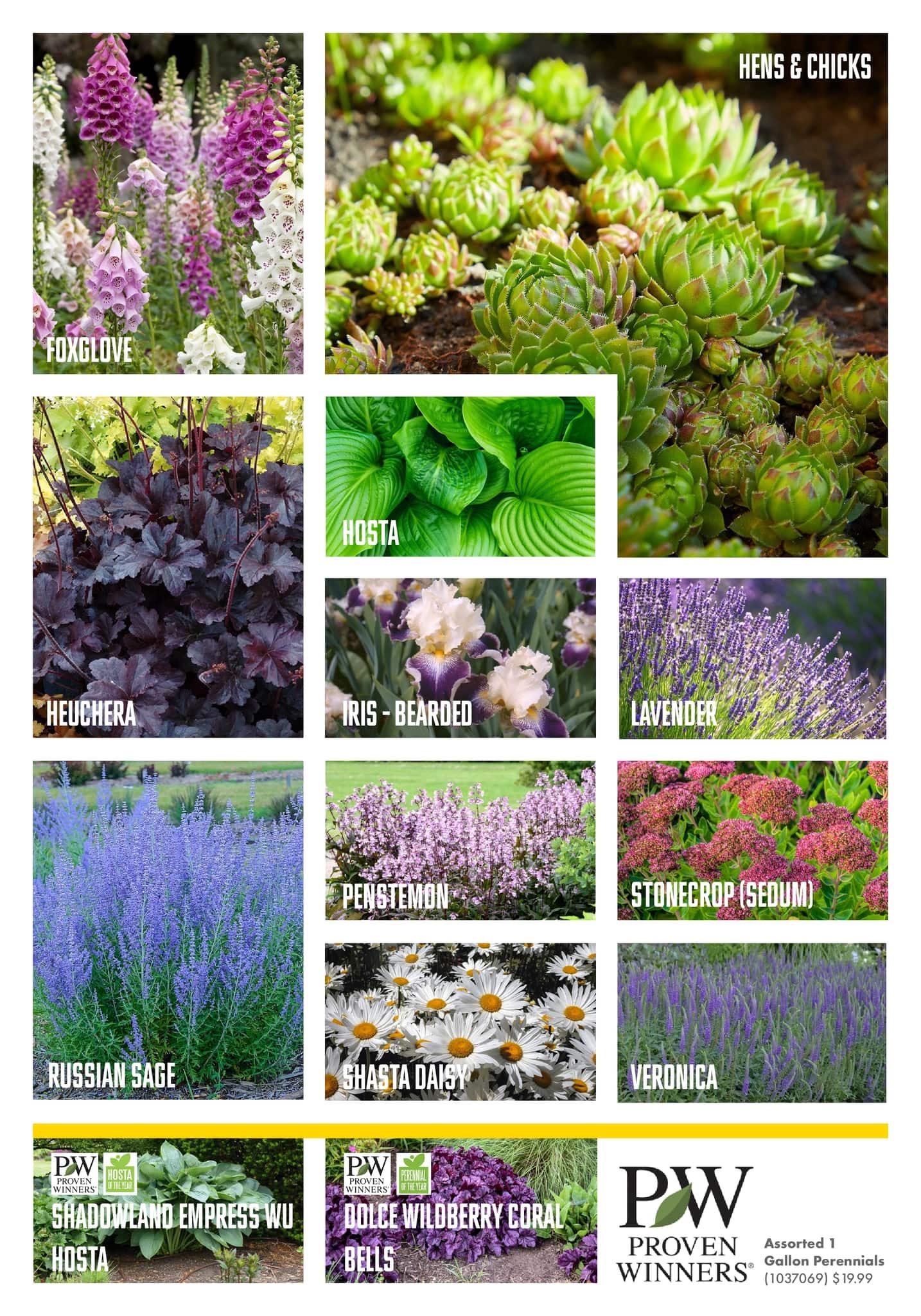 Circulaire Kent - Centre Garden Magazine - Page 6