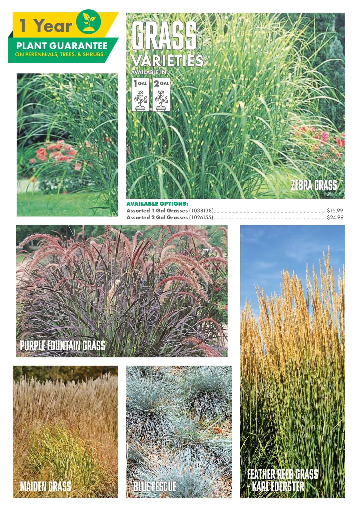 Circulaire Kent - Centre Garden Magazine - Page 7