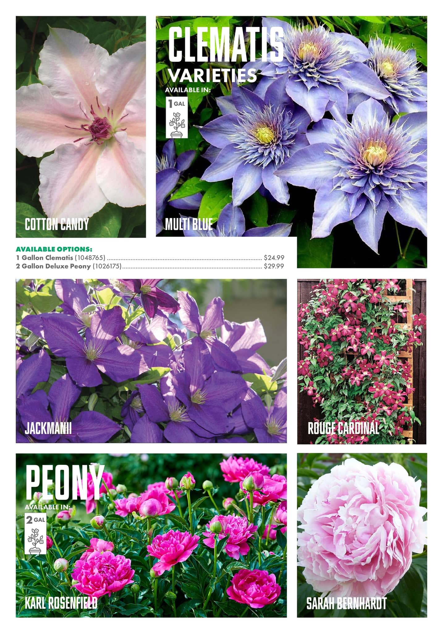 Circulaire Kent - Centre Garden Magazine - Page 8