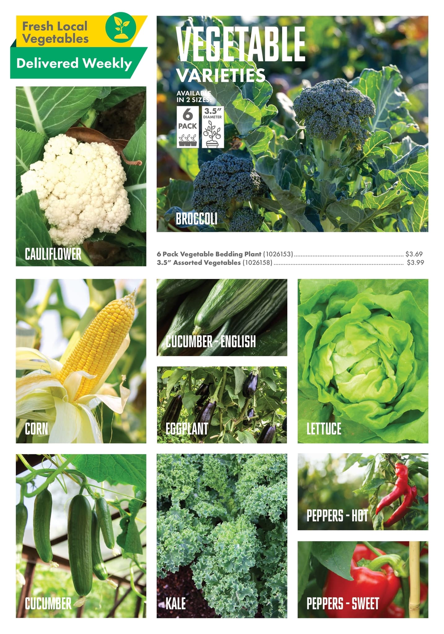 Circulaire Kent - Centre Garden Magazine - Page 11
