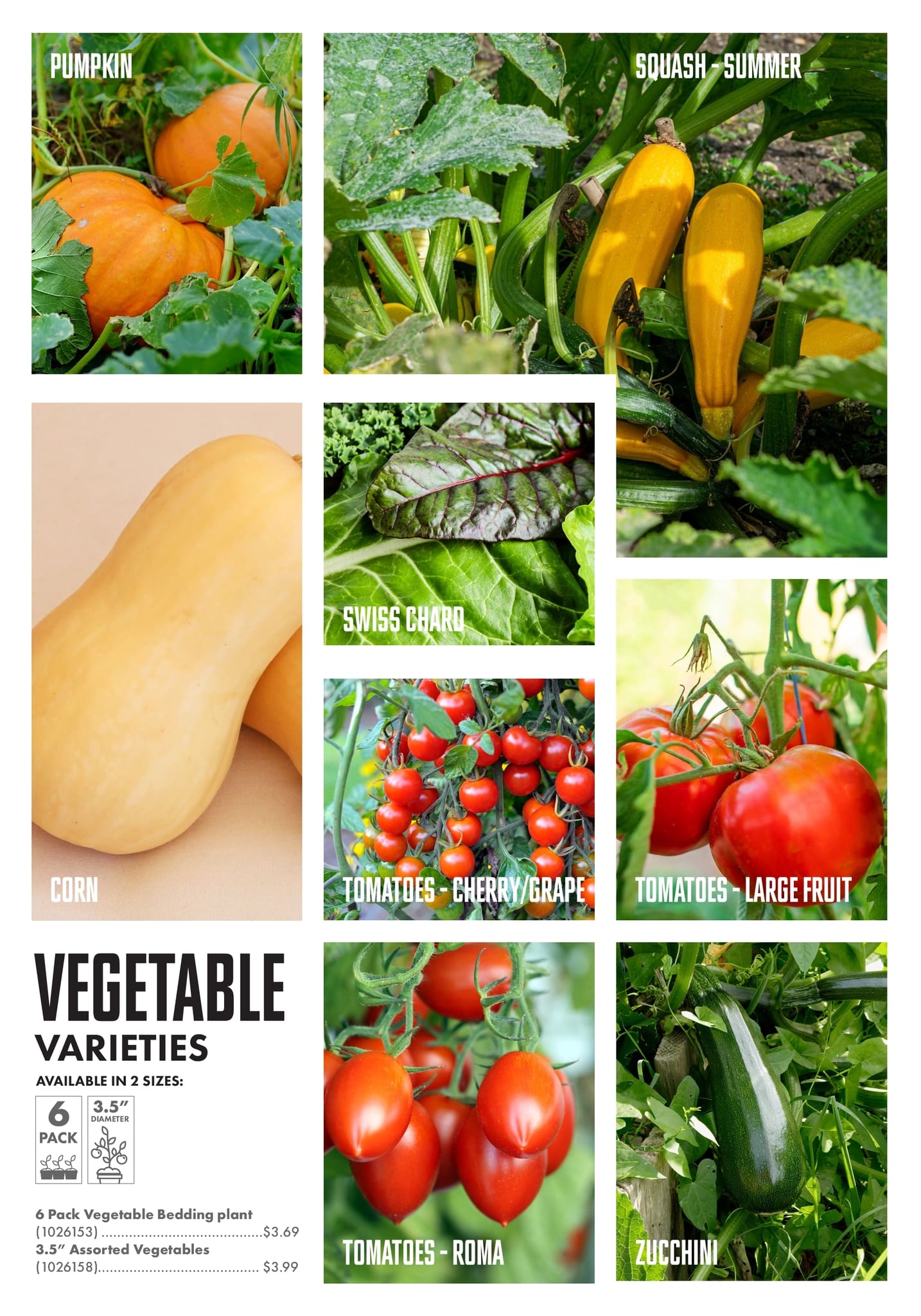 Circulaire Kent - Centre Garden Magazine - Page 12