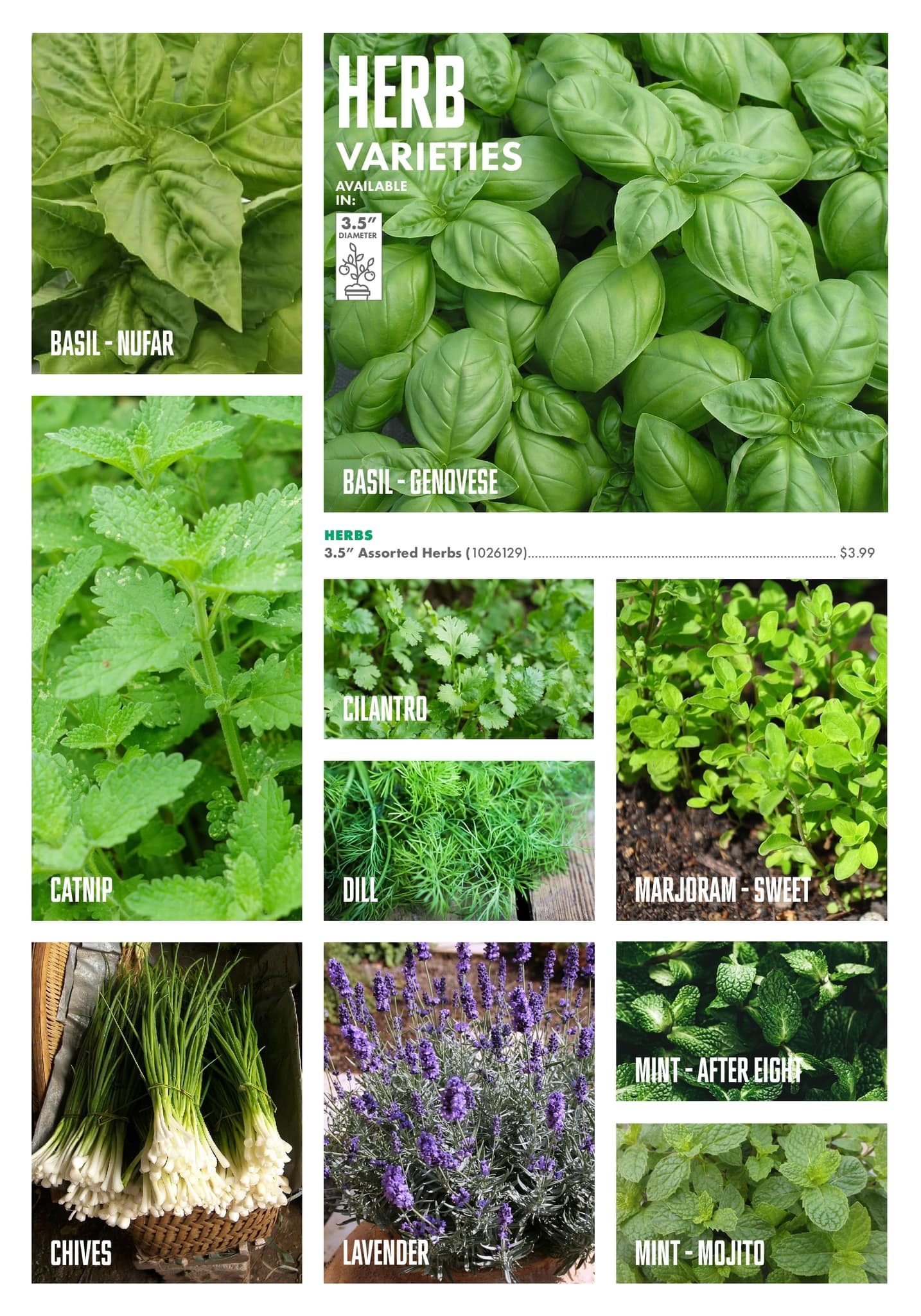 Circulaire Kent - Centre Garden Magazine - Page 13
