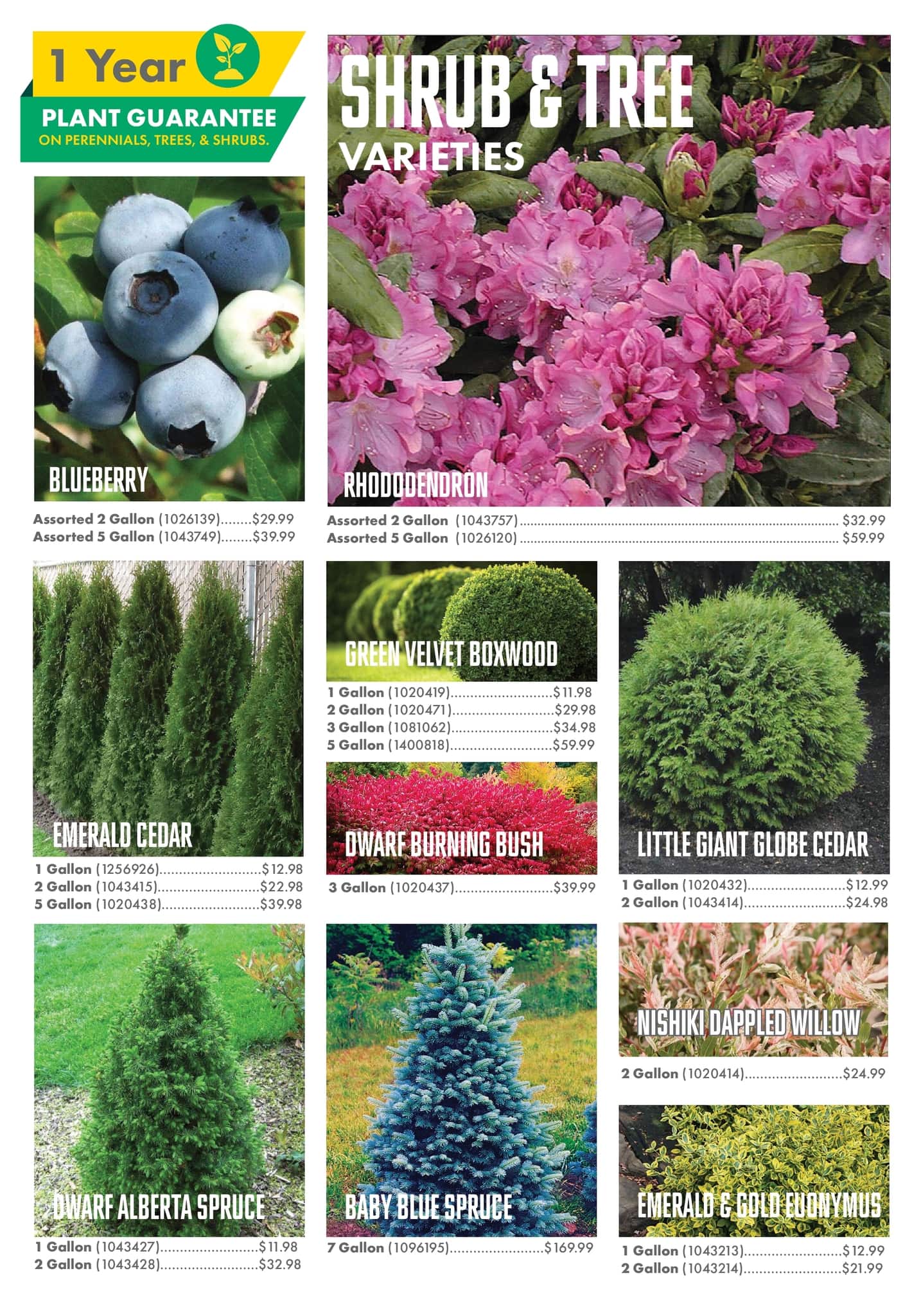 Circulaire Kent - Centre Garden Magazine - Page 15