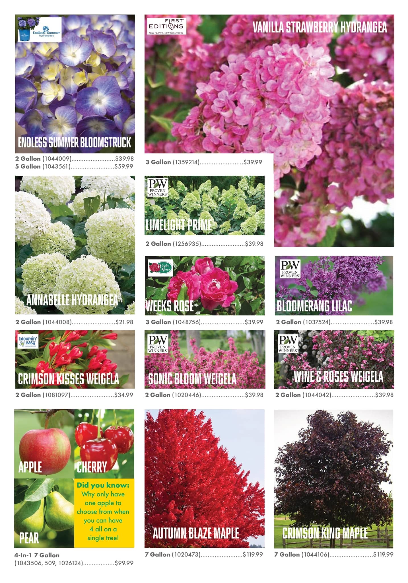 Circulaire Kent - Centre Garden Magazine - Page 16