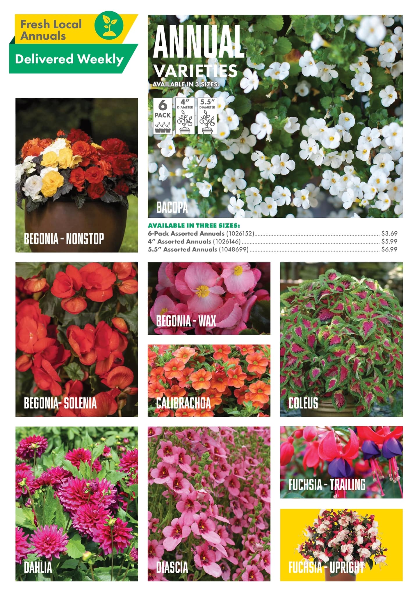Circulaire Kent - Centre Garden Magazine - Page 17