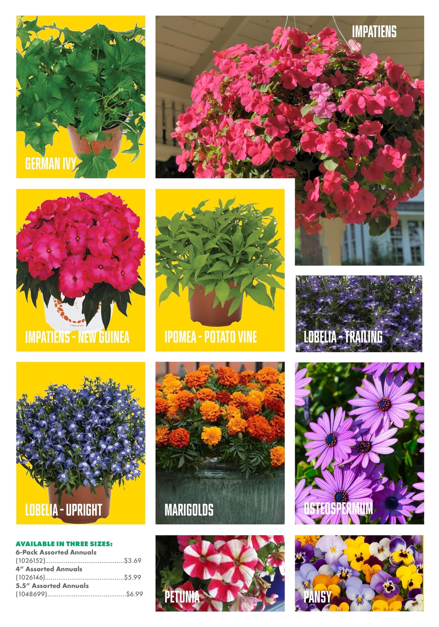 Circulaire Kent - Centre Garden Magazine - Page 18