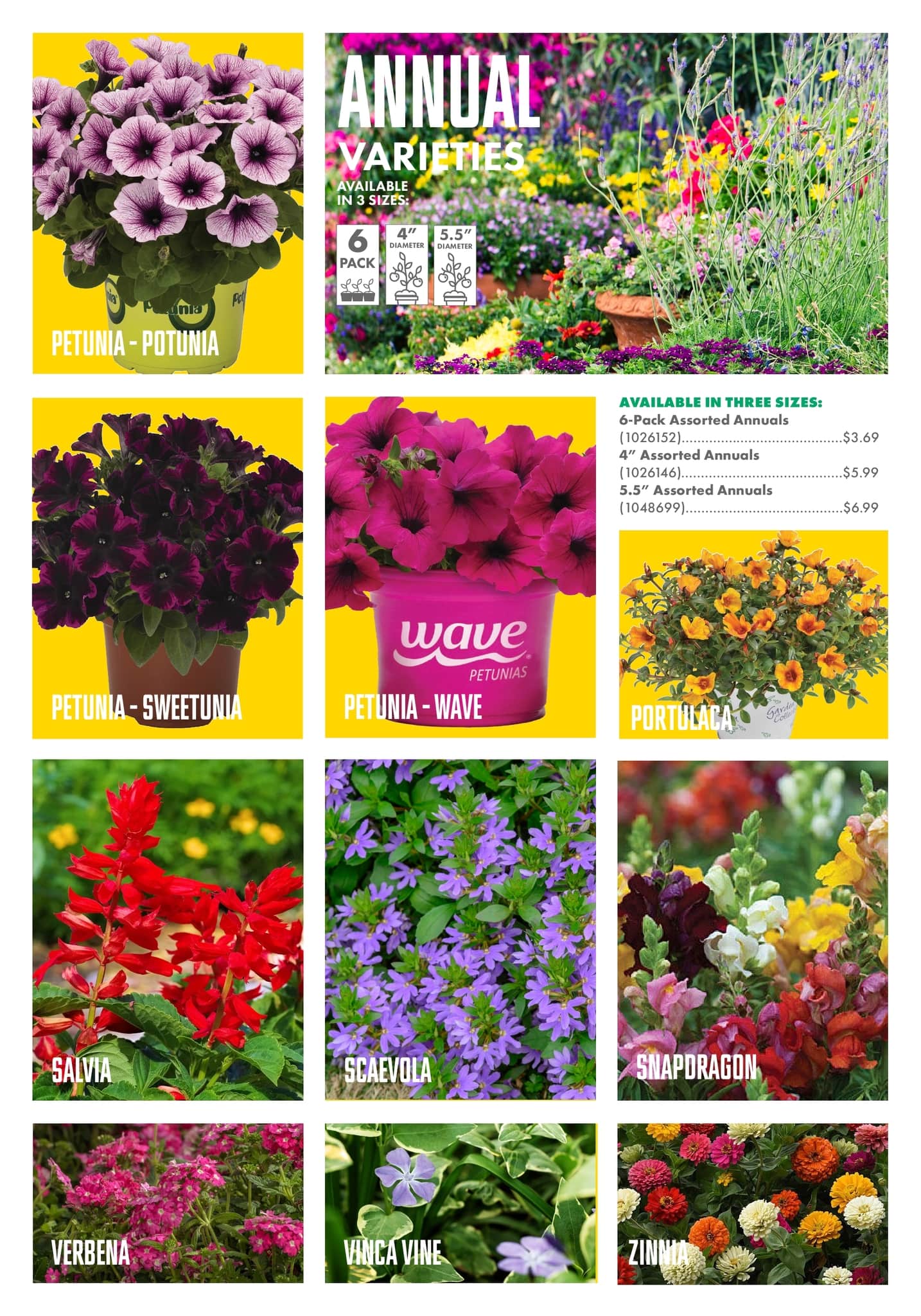 Circulaire Kent - Centre Garden Magazine - Page 19