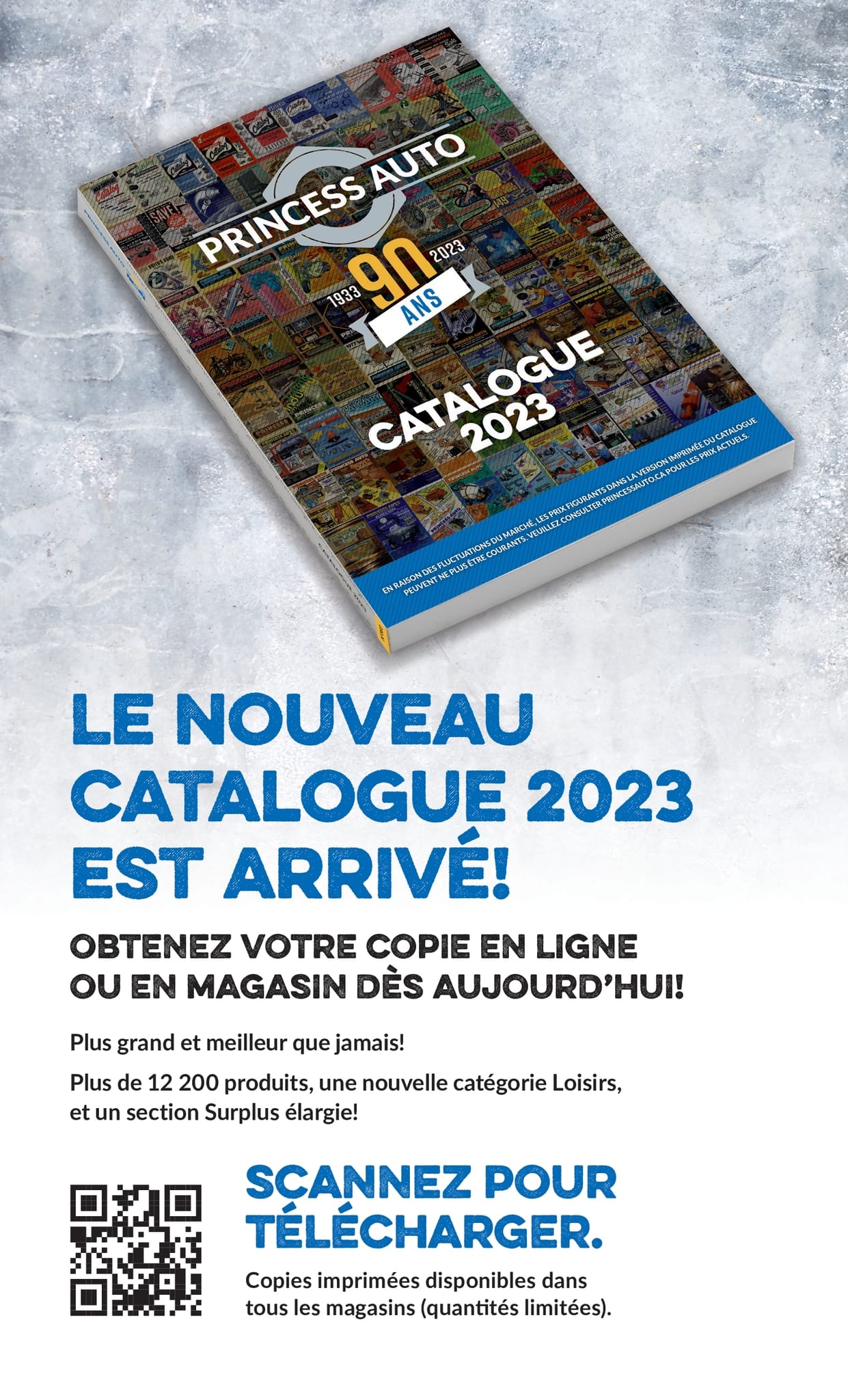 Circulaire Princess Auto - Page 93