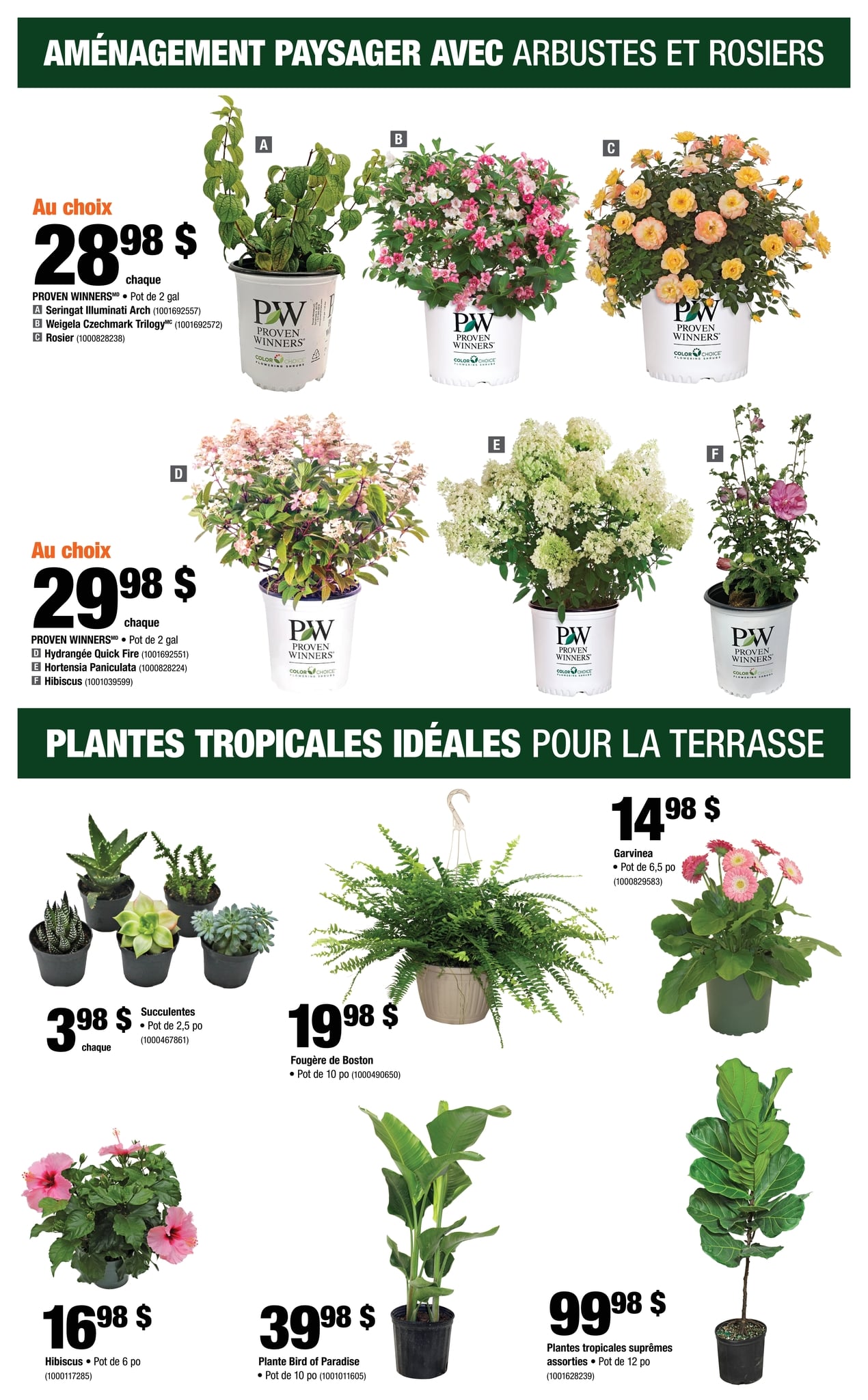 Circulaire Home Depot