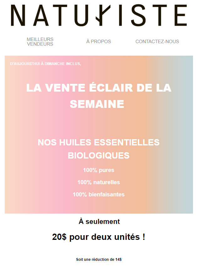 VENTE ÉCLAIR
