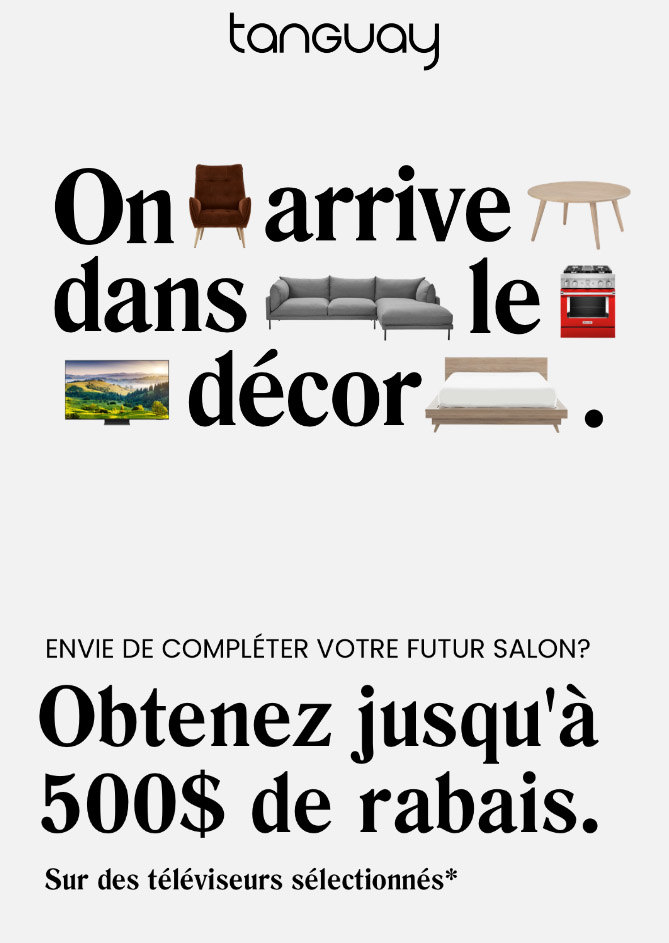 Un Salon et une Cour Électrisante!