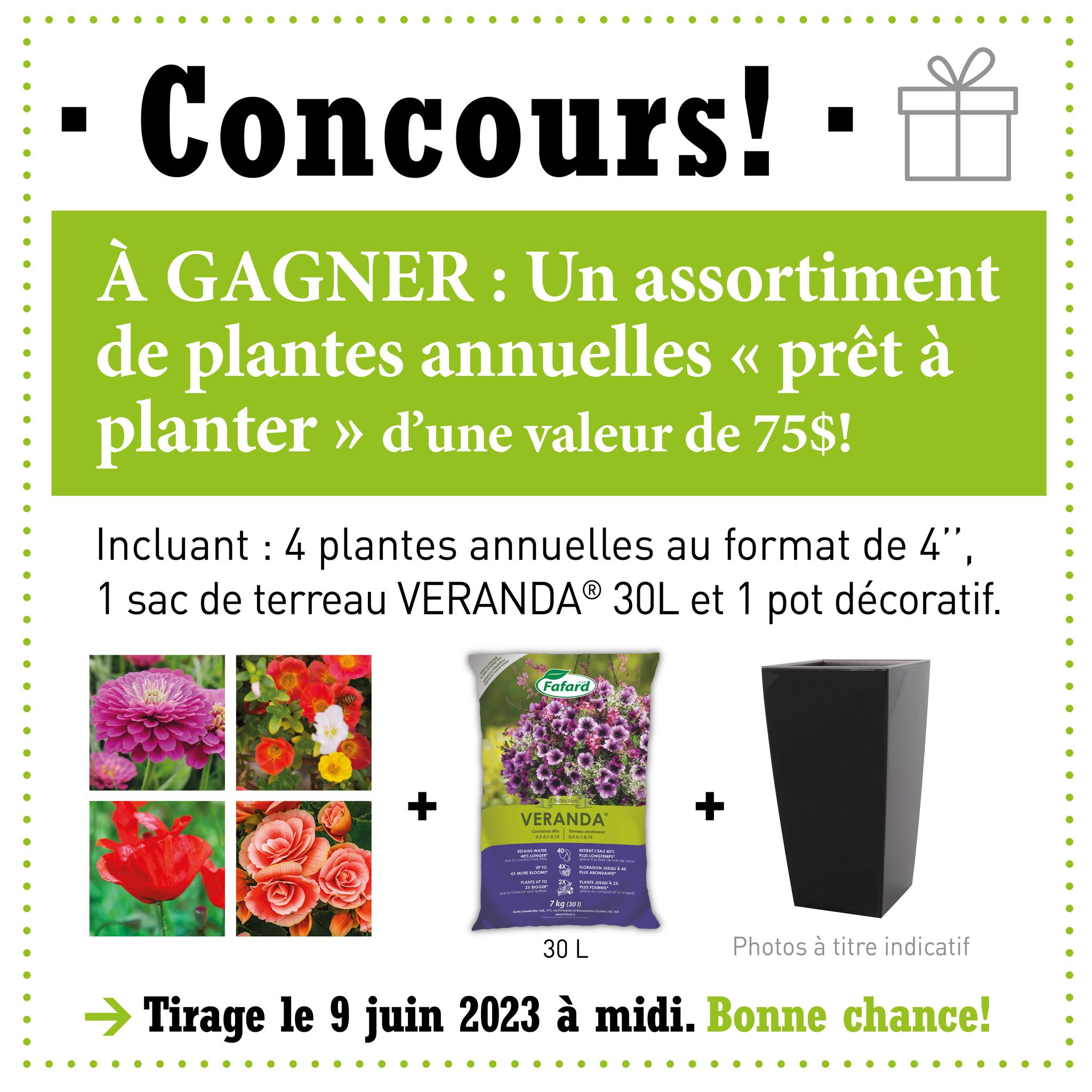 Concours Gagnez un assortiment de plantes annuelles prêt à planter!