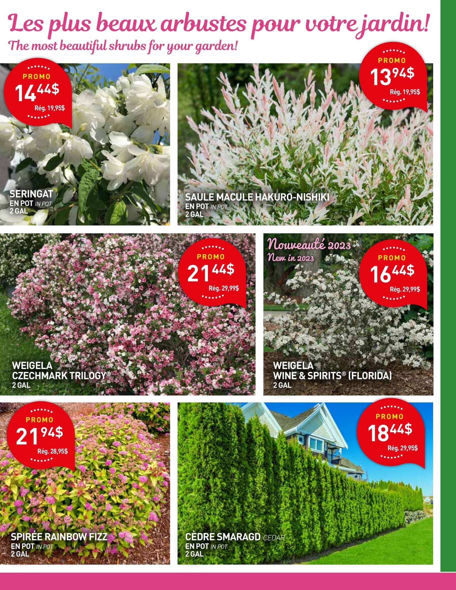 Circulaire Centre de Jardin Floréal - Page 2