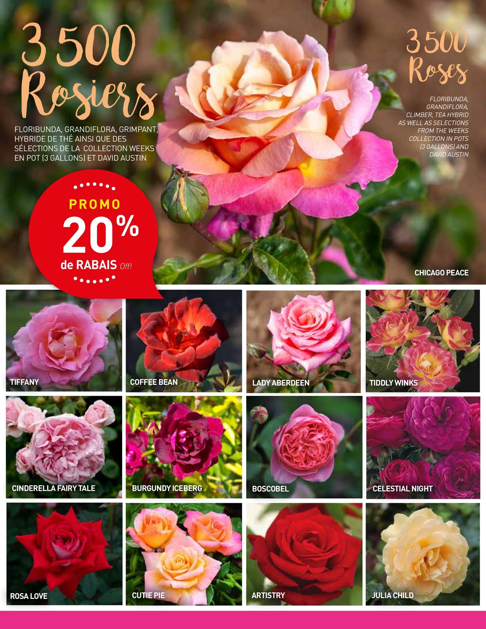 Circulaire Centre de Jardin Floréal - Page 3