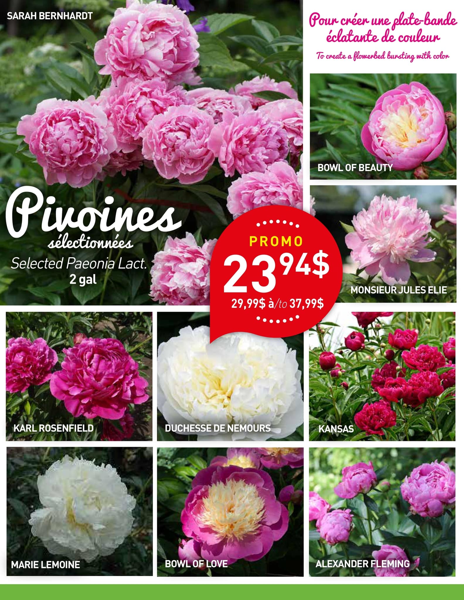 Circulaire Centre de Jardin Floréal - Page 5
