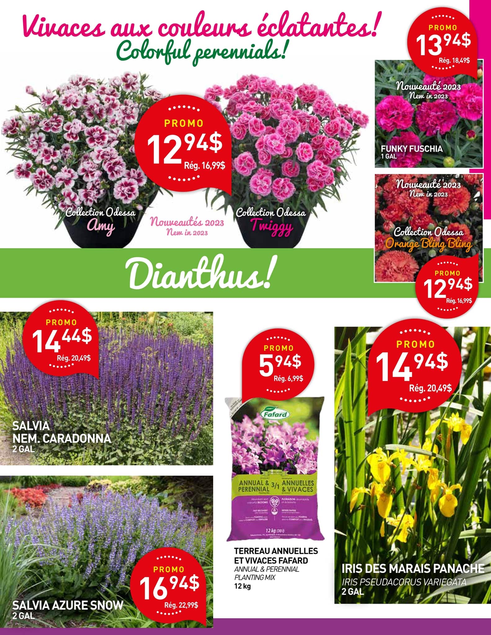 Circulaire Centre de Jardin Brossard - Page 4