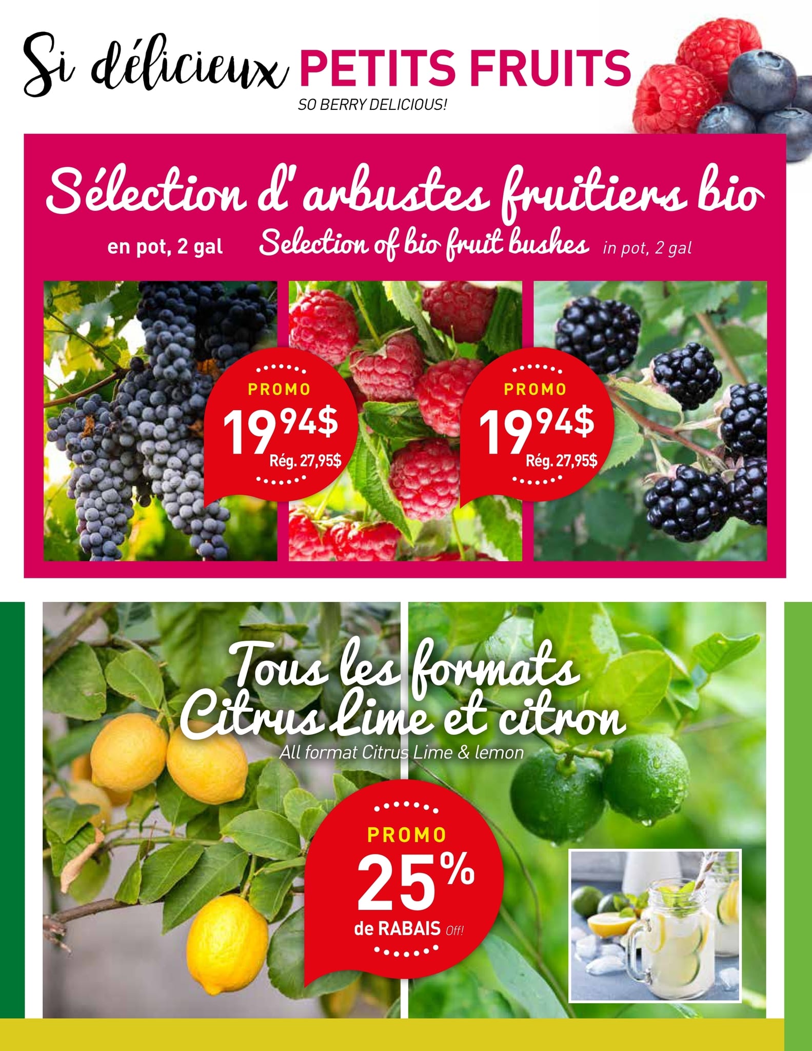 Circulaire Centre de Jardin Brossard - Page 6
