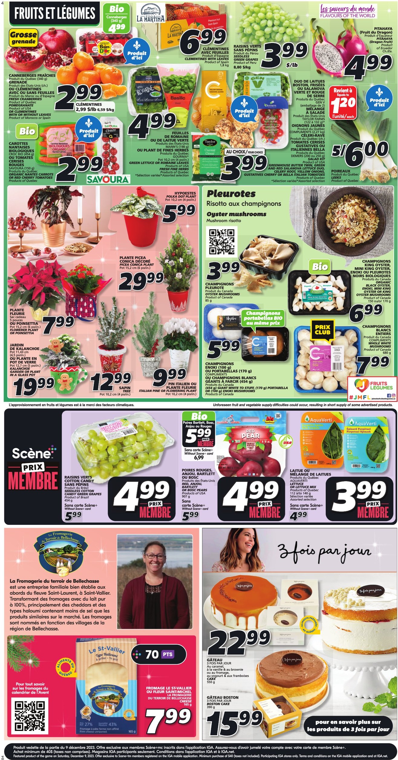 Circulaire IGA - Page 3