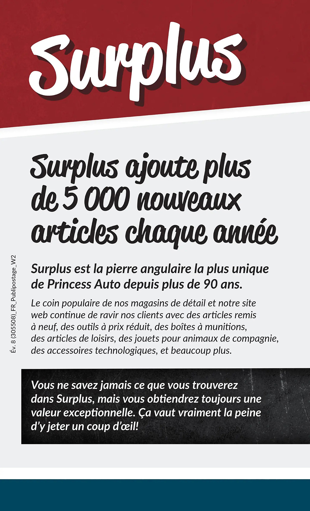 Circulaire Princess Auto - Page 3