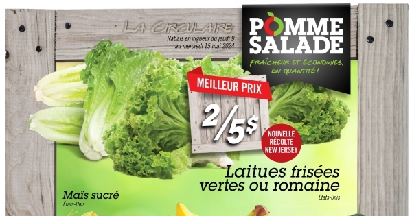 Circulaire Pomme Salade