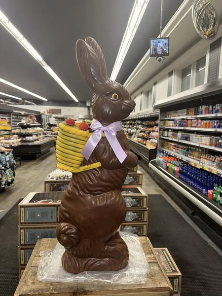 Concours L'intermarché St-Vallier - Gagnez un lapin géant de 3400g d’une valeur de 179,99$!