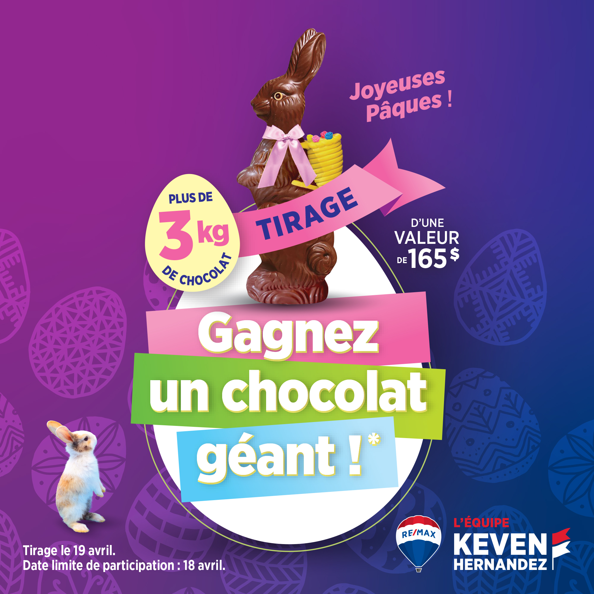 Concours Gagnez ce gigantesque lapin de 3.6 KILOS et mesurant plus de 3 pieds