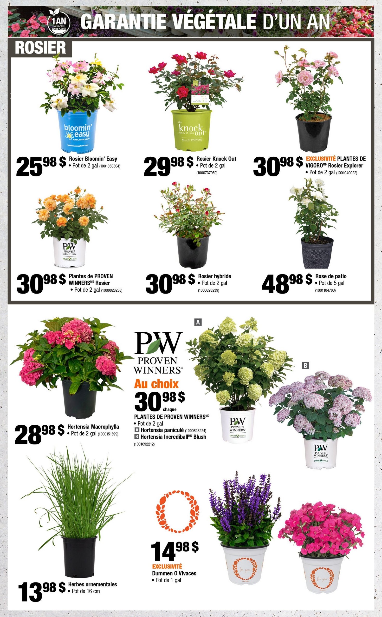 Circulaire Home Depot