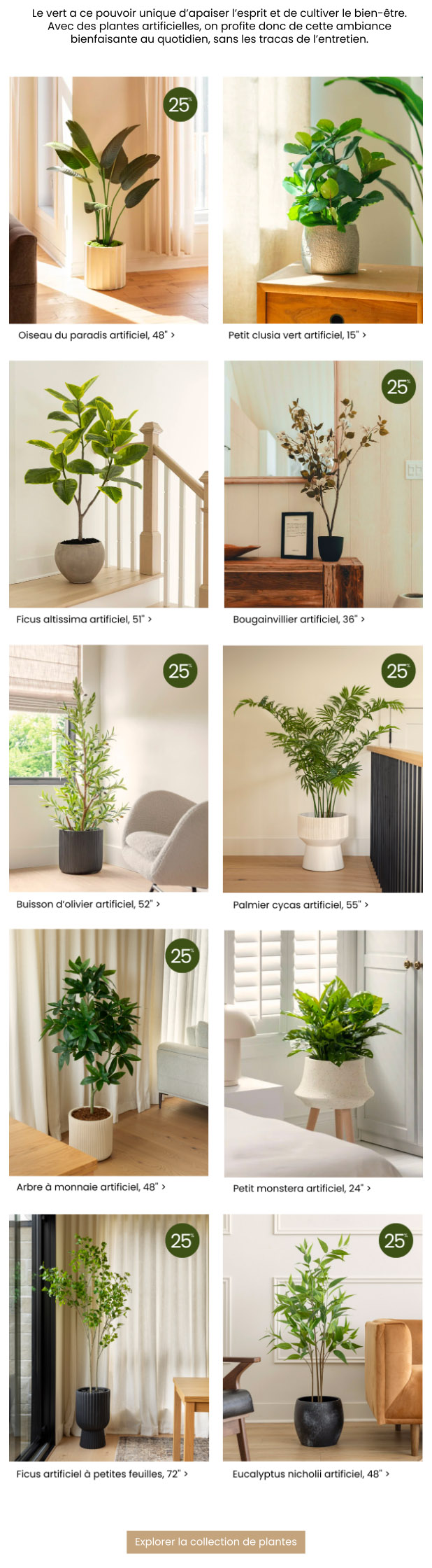 Automne apaisant = intérieur verdoyant
