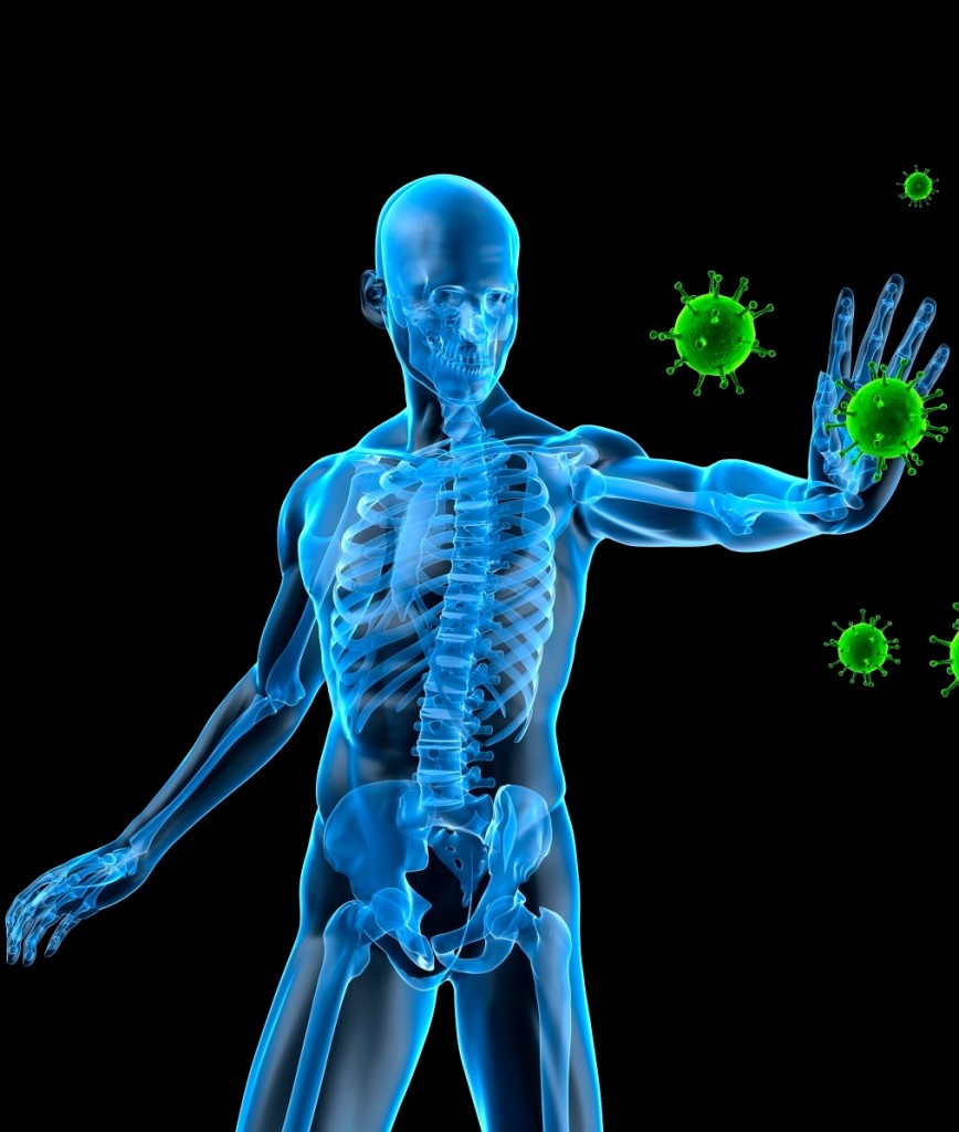5 Trucs pour Renforcer son Système Immunitaire
