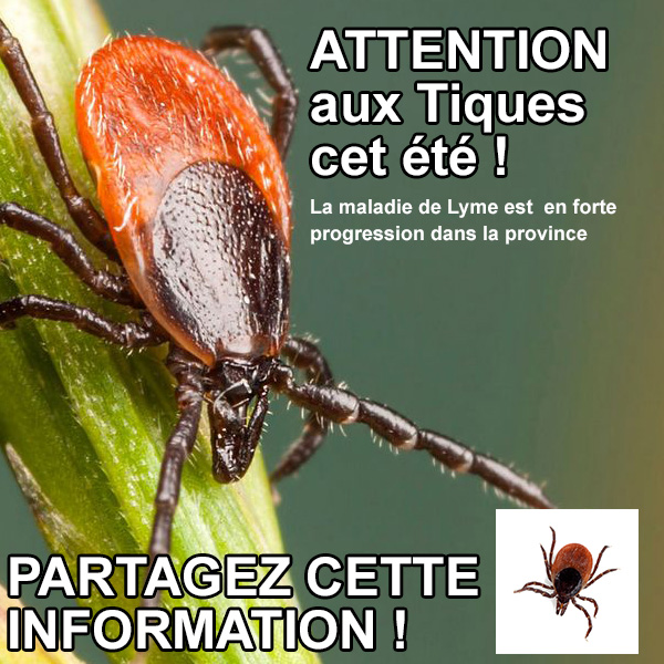 ATTENTION AUX TIQUES CET ETE