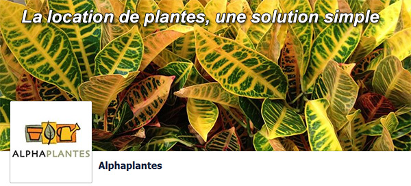 Alpha Plantes Location