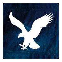 Logo American Eagle Outfitters
