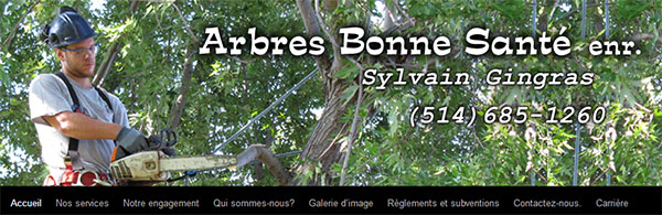 Arbre Bonne Santé en ligne