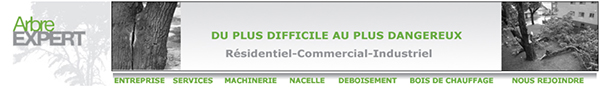 Arbre Expert en Ligne