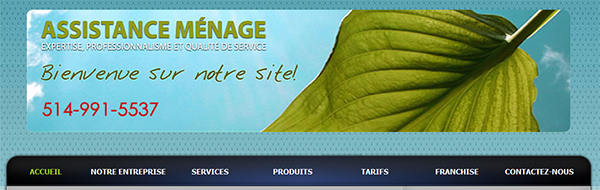 Assistance Ménage en Ligne