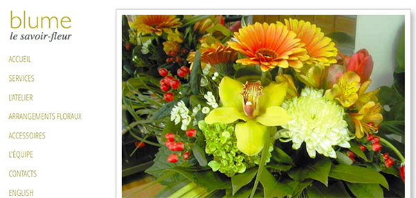 Blume en ligne