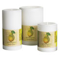 Chandelles Circulaire Pier 1 Import