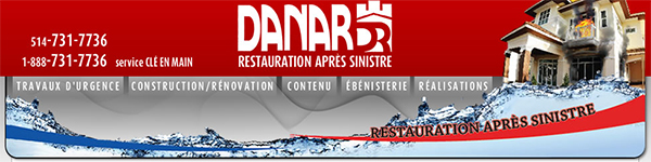 Danar en ligne