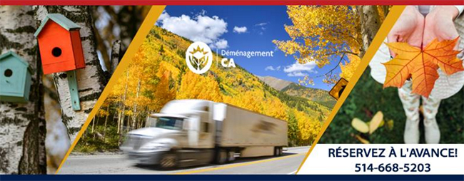 Déménagement CA en Ligne